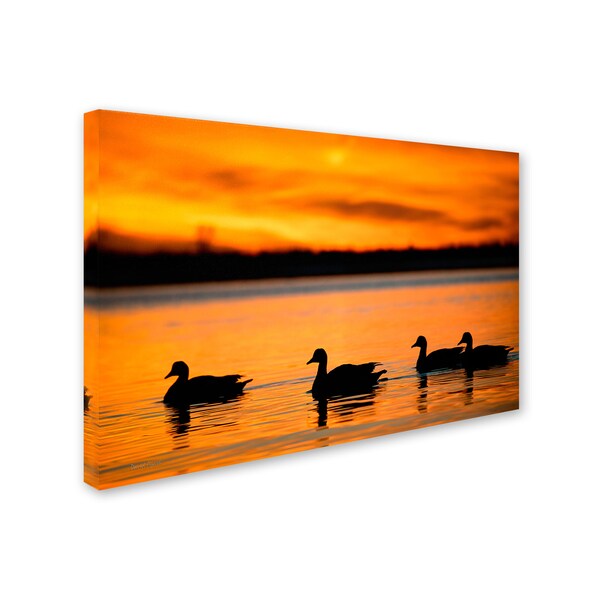 David Ayash 'Jamaica Bay Sunset - NYC II' Canvas Art,16x24